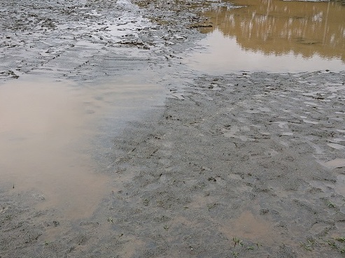 雨の日の園庭